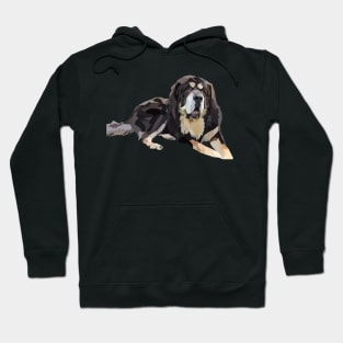 Tibetan Mastiff Big Fluffy Dog Hoodie